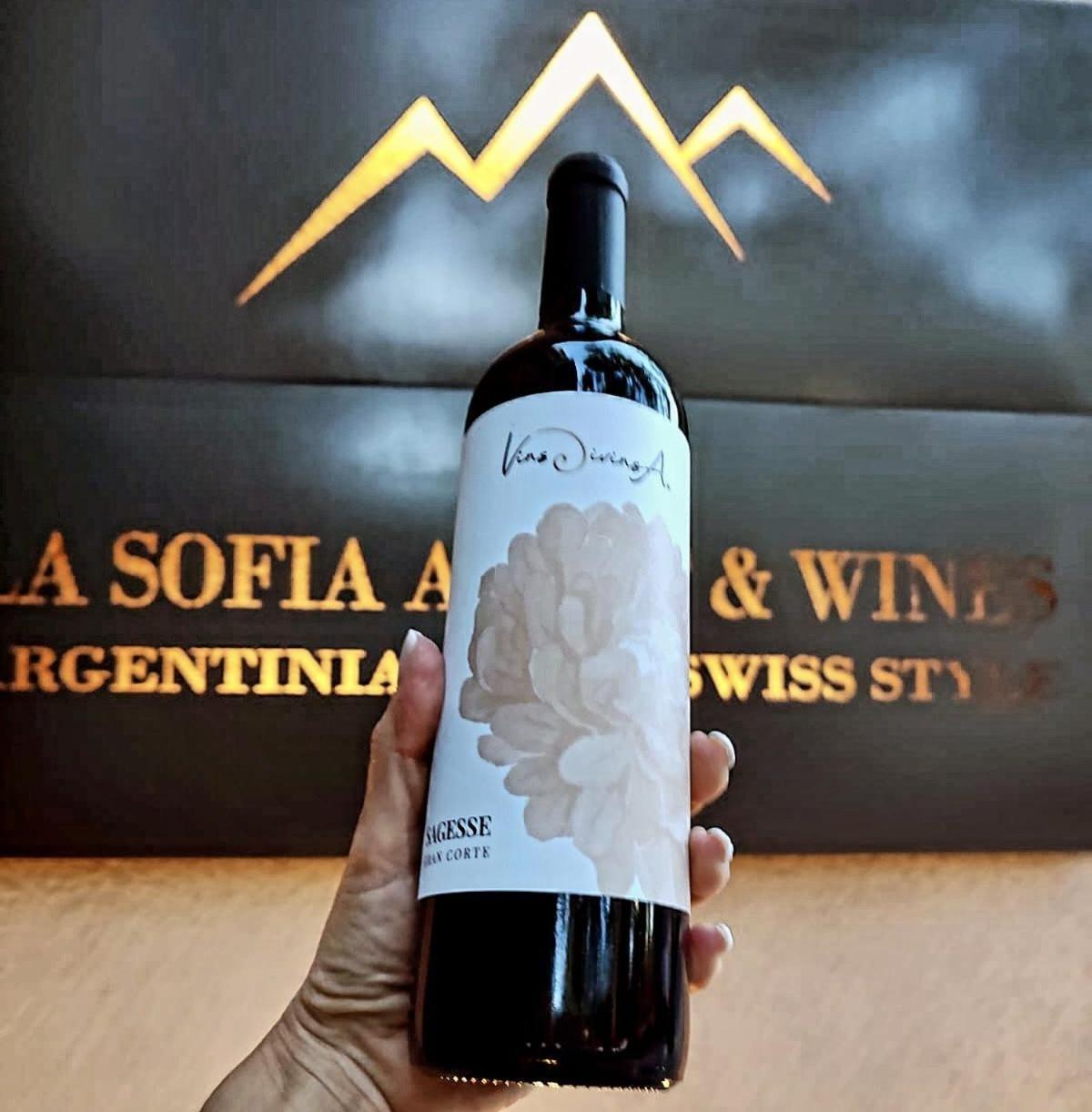 La Sofia Apart & Wines Μεντόζα Εξωτερικό φωτογραφία