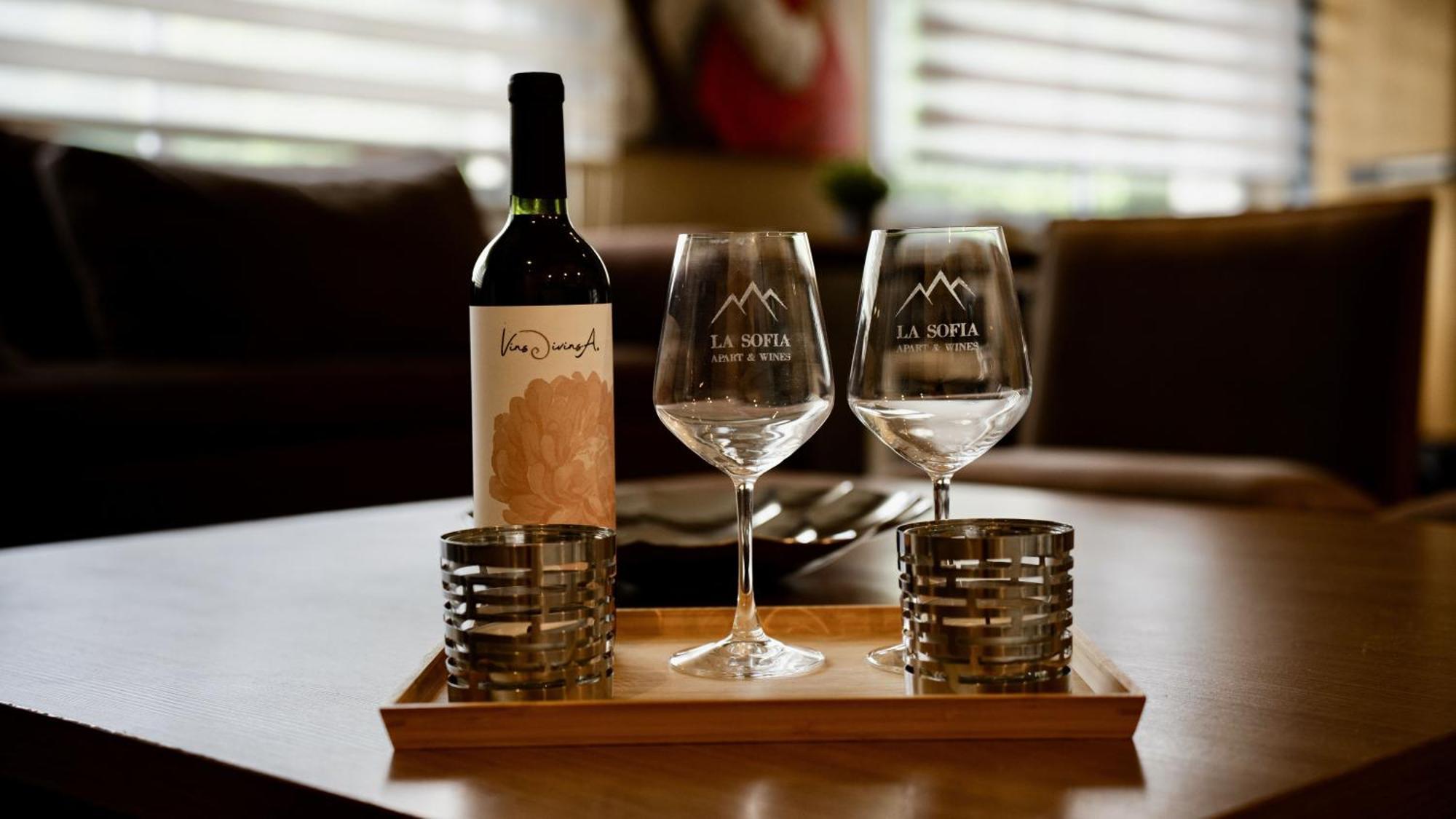 La Sofia Apart & Wines Μεντόζα Εξωτερικό φωτογραφία