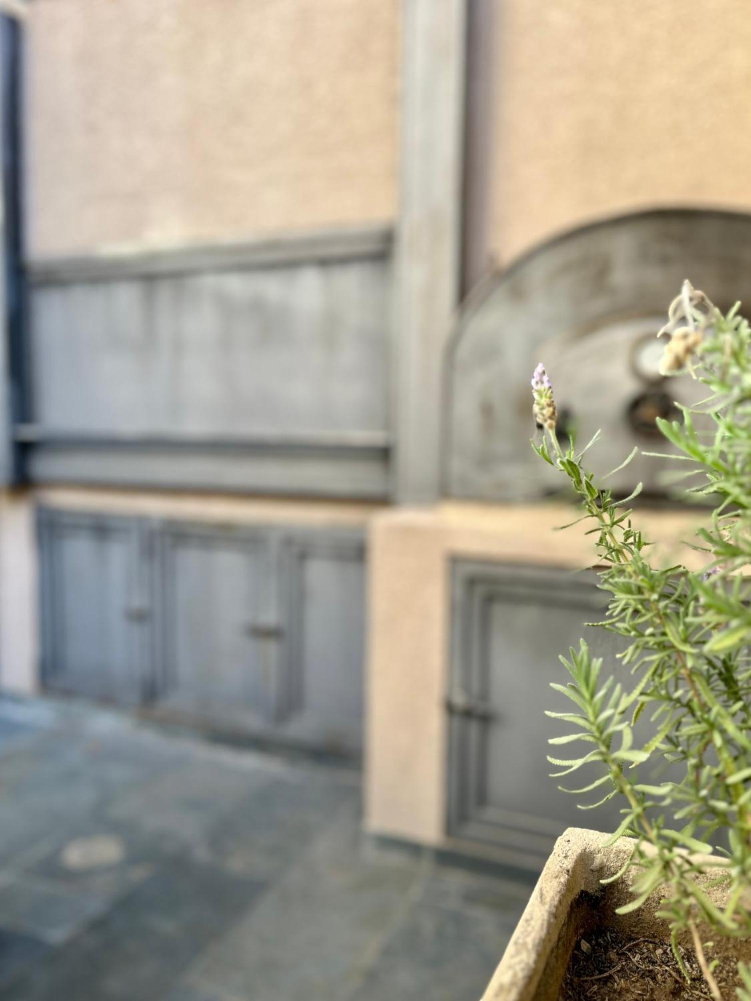 La Sofia Apart & Wines Μεντόζα Εξωτερικό φωτογραφία